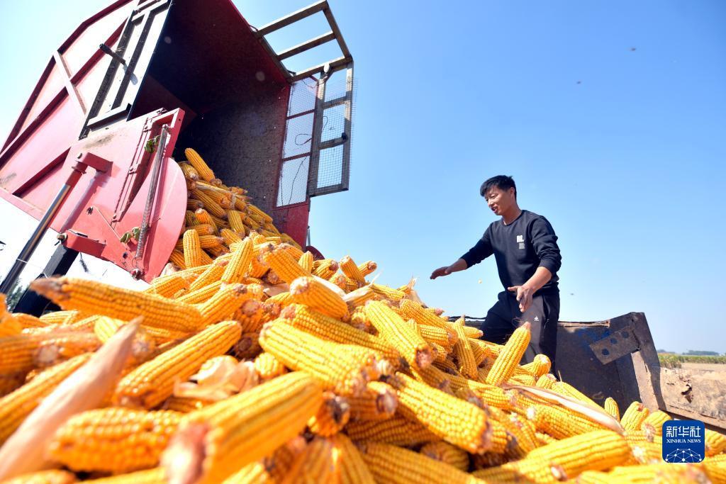 苹果x怎么玩不了pt游戏